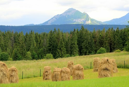 Tatry,  Kraštovaizdis,  Panorama,  Peržiūrėti,  Kalnų Kraštovaizdis,  Kaimas,  Pobūdį,  Turizmas,  Vasara