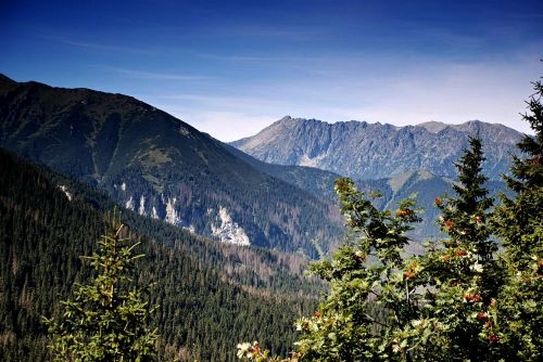 Tatry, Kalnai, Aukštas Tatras, Vaizdas, Dangus, Lenkija, Medis, Didelis Vaizdas, Gamta, Viršūnės, Kalnas