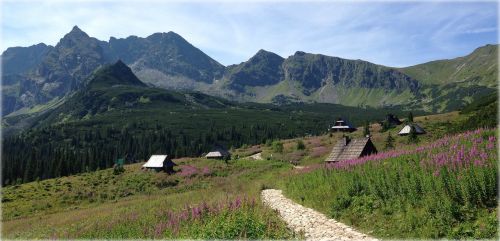 Tatry, Lenkija, Kalnai, Hala Gąsienicowa, Kraštovaizdis