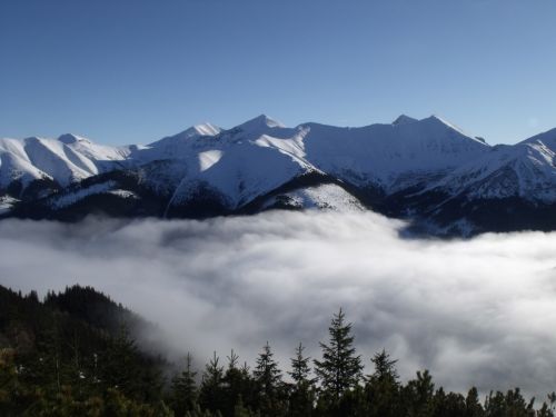 Tatras,  Kalnai,  Sniegas,  Vaizdas,  Medžiai,  Nuolydis,  Žiemos Tatuiruotės Kalnai