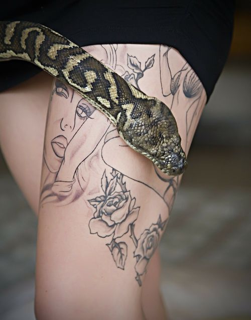Tatuiruotė, Gyvatė, Python, Gyvatė Gyvatė, Pythoninae, Gyvūnas