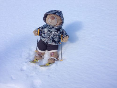 Teddy, Slidinėjimas, Sniegas, Žaislas, Žiema