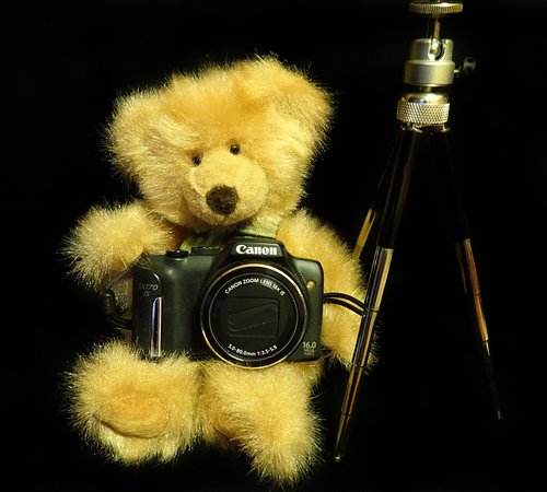 Teddy,  Fotografijos,  Žaislas,  Mielas,  Kamera,  Trikojis