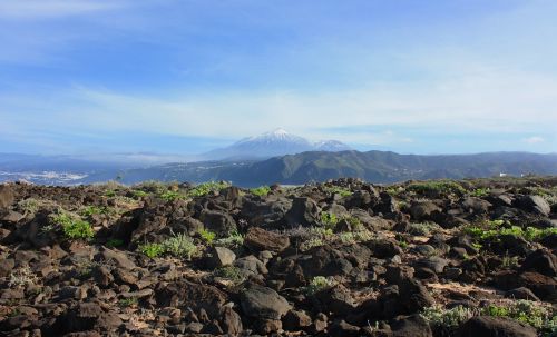 Teide, Vulkanas, Tenerifė, Gamta, Pico De Teide, Kranto, Rokas, Akmenys, Kanarų Salos