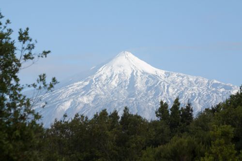 Teide, Vulkanas, Kalnas, Aukščiausiojo Lygio Susitikimas, Pico Del Teide, Teyde, Nacionalinis Parkas, Tenerifė, Kanarų Salos, 3718 M, 3718 Metrai, 3718, Medis, Pušis, Sniegas, Mėlynas, Balta, Žalias