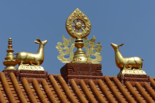 Šventykla, Stogas, Auksas, Stogo Ornamentas, Lama, Bhuddismus