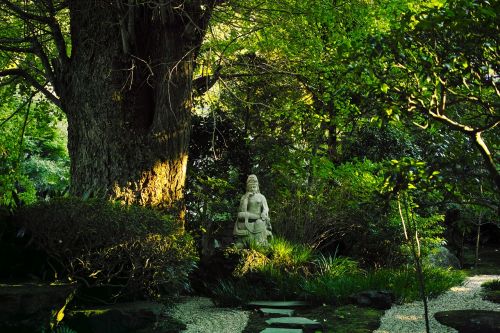 Šventykla, Japonija, Budos Statula, Kamakura, K, Budizmas
