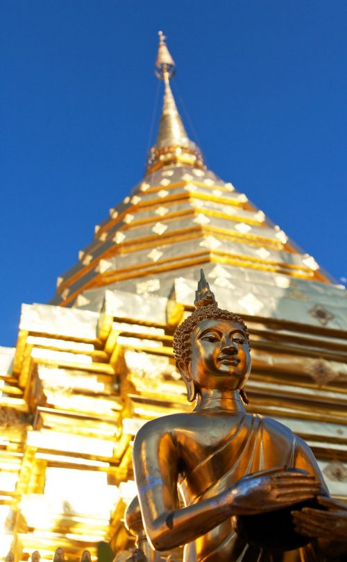 Šventykla, Chiang Mai, Auksas