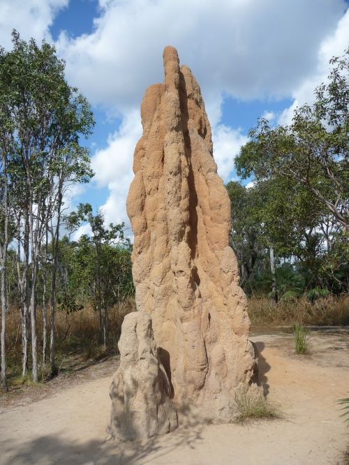 Termito Kalnas, Australia, Kraštovaizdis