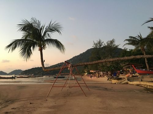 Tailandas, Krabi, Kokoso Medžiai