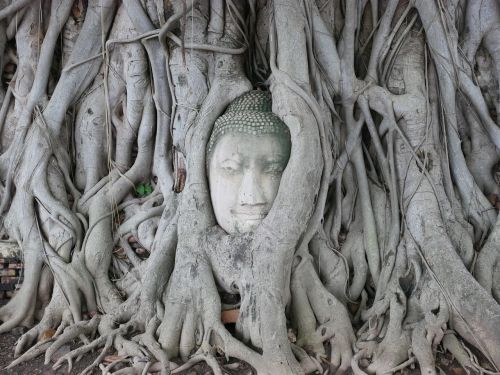 Tailandas, Buda, Priemonė, Budos Statula, Šventykla, Budistinis, Asian, Kultūra