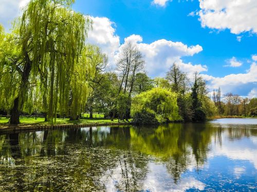 Thames, Runnymede, Pavasaris