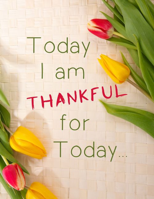 Dėkingas, Dėkoju, Dėkingas, Ačiū, Pranešimas, Pasveikinimas, Patvirtinimas, Šiandien, Naujasis Amžius, Padėka, Sakydamas, Citata, Tulpės, Gėlė, Dėkingumas, Laikas, Dėkingumas, Dėkingumas, Traukos Dėsnis, Tekstas, Dėkingi, Kortelė, Pastaba