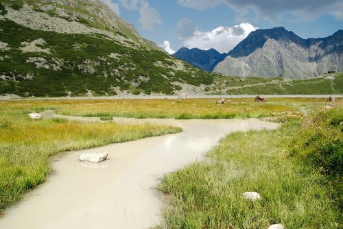 Alpės, Austria, Ledinis Srautas, Kalnai, Srautas