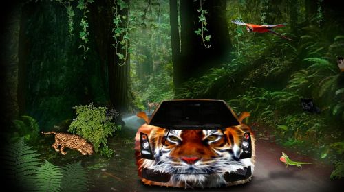 Automobilis,  Corvette,  Tigras,  Gyvūnai,  Džiunglės,  Kelias,  Menas,  Gamta,  Dažymas,  Beastmaster