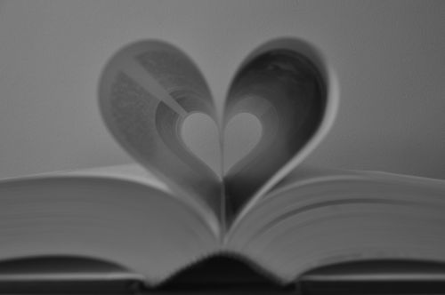 Knyga,  Širdis,  Skaitytojas,  Meilė,  Meilės Knyga