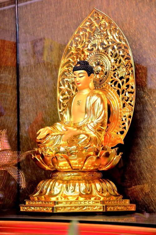 Buda, O Masinis Rotorius, Aukso Korpusas