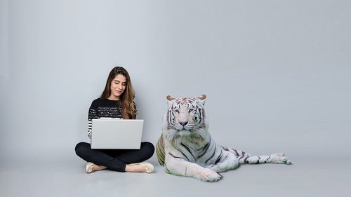 Kompiuteris,  Tigras,  Bengal,  Lady,  Atlikti Darbą