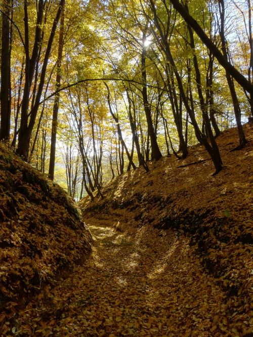 Steigėjų Tėvai, Lenkija, Nacionalinis Parkas, Kraštovaizdis, Lapija, Ruduo