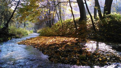 Steigėjų Tėvai, Lenkija, Nacionalinis Parkas, Kraštovaizdis, Vanduo, Medis