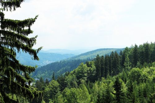 Milžiniški Kalnai, Gamta, Čekijos Respublika, Miškas, Medžiai, Kelionė, Vasara, Kraštovaizdis, Kalnai, Panorama, Dangus, Debesys, Sněžka