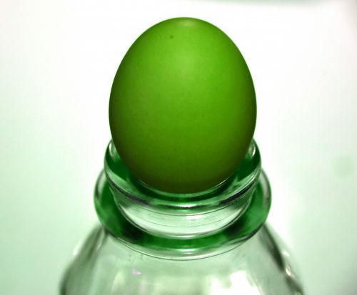 Žalias,  Kiaušinis,  Iš Arti,  Pienas,  Butelis,  Izoliuotas,  Stiklas,  Žalia Kiaušinis