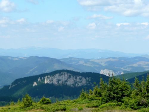 Žemė, Svogūnų Kalnai, Transilvanija, Laisvė, Gamta