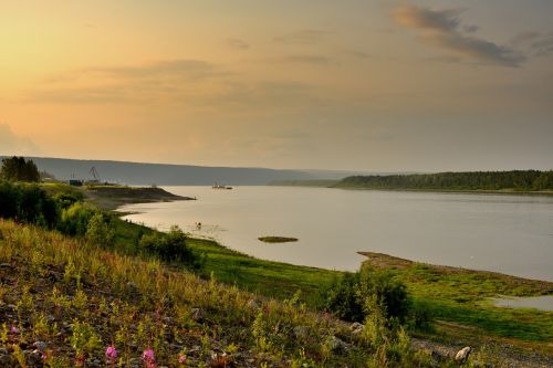 Upės Lena,  Siberija,  Jakutija,  Karvė,  Be Honoraro Mokesčio