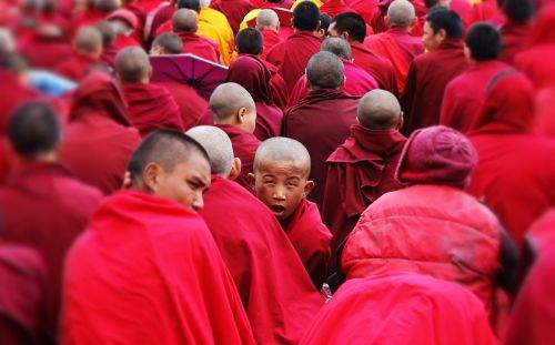 Vienuoliai,  Vienuolis,  Dalai Lama,  Budizmas,  Šventė,  Dvasingumas,  Indija,  Ladakh