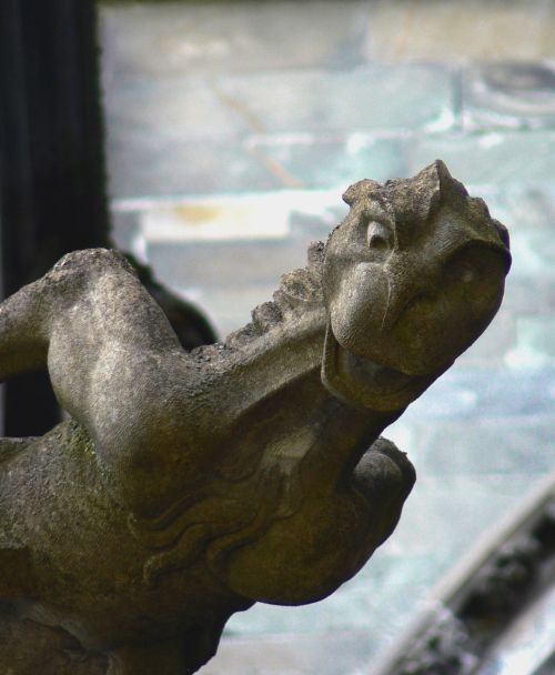 Nidaros Katedra, Gargoyle, Išsamiai