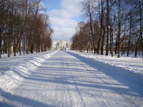 Rūmų Ansamblis Tsarskoe Selo, Rusija, Alėja, Medžiai, Rūmai, Kelio Sniegas, Žiema, Šešėlis
