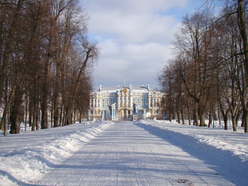 Rūmų Ansamblis Tsarskoe Selo, Rusija, Alėja, Medžiai, Rūmai, Kelio Sniegas, Žiema, Šešėlis