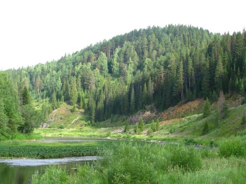 Upė Koiva, Atvira Erdvė, Dahl, Horizontas, Kraštovaizdis, Dangus, Gamta, Vasara, Mėlynas Dangus, Kelionė, Rusija, Papludimys, Akmenys, Aukštis, Perm Krai, Turizmas, Miškas, Plyšimas, Tyla