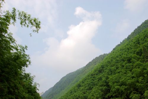 Kraštovaizdis, Kalnas, Bambukas