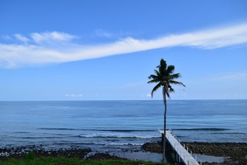 Jūra, Kokoso Medžiai, Mėlynas Dangus