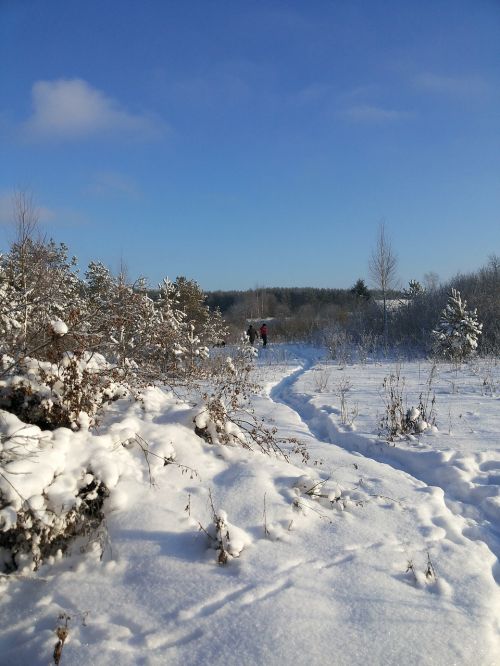Sniego Dengtas Laukas, Sniegas, Šaltis, Žiema