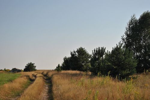 Saulė, Oras, Gamta, Vasara, Mėlynas, Vaizdas, Panorama, Medis, Kelias