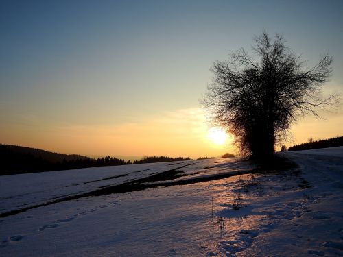 Vysočina Regionas,  Žiema,  Gamta