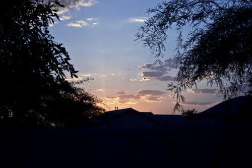 Saulėtekis,  Arizona,  Medžiai,  Kraštovaizdis,  Per Medžius