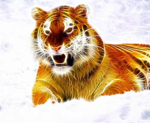 Tigras, Gyvūnas, Laukiniai, Laukiniai Gyvūnai, Laukinė Gamta, Gamta, Katė