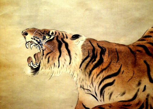 Tigras,  Laukiniai,  Gyvūnas,  Iliustracija,  Dažymas,  Meno Kūriniai,  Kinija,  Tigras