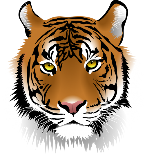 Tigras, Sumatrano Tigras, Laukinė Gamta, Žmogus-Eateras, Wildcat, Katė, Plėšrūnas, Mėsėdis, Žinduolis, Laukiniai, Nemokama Vektorinė Grafika