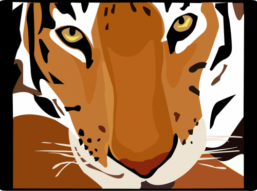 Tigras, Miškas, Gyvūnas, Laukiniai, Laukinė Gamta, Katė, Džiunglės, Zoologijos Sodas, Wildcat, Nemokama Vektorinė Grafika