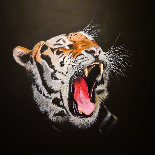 Tigras, Panthera Tigris, Plėšrūnas, Didelė Katė, Pavojingas, Dažytos, Akrilas, Drobė
