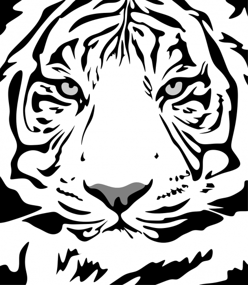 Tigras, Modelis, Gyvūnas, Dizainas, Butas, Tekstūra, Medžiaga, Fauna, Piešimas, Nemokama Vektorinė Grafika