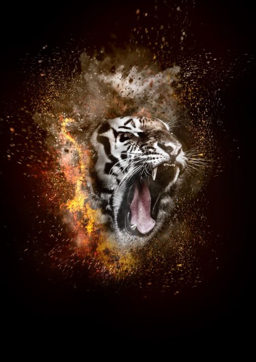 Tigras, Ugnis, Dūmai, Pavojingas, Komponavimas