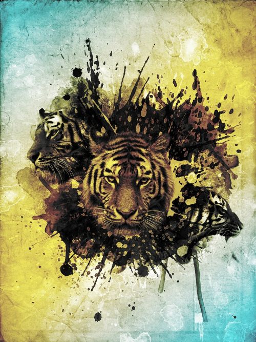 Tigras, Abstraktus, Photoshop, Koliažas, Wildcat