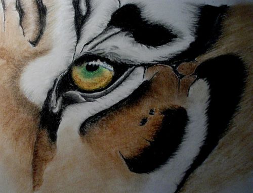 Tigras, Akis, Meno Kūriniai, Pastelė