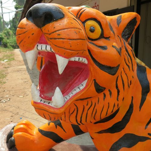 Tigras, Tailandas, Gyvūnas, Laukinė Gamta, Бенгальский, Galva, Asija, Oranžinė