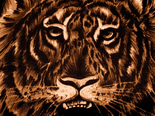 Scrapbooking,  Fonas,  Medžiaga,  Modeliai,  Gyvūnai,  Tigras,  Tigro Veidas (3)